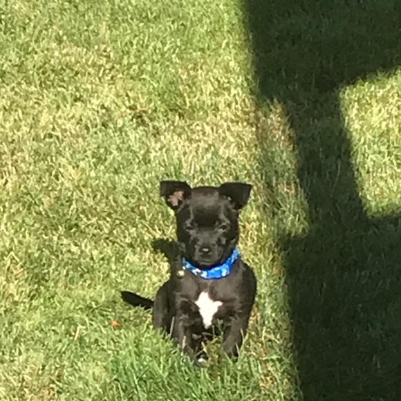 Meet your Posher, Andy - Picture 6 of 6